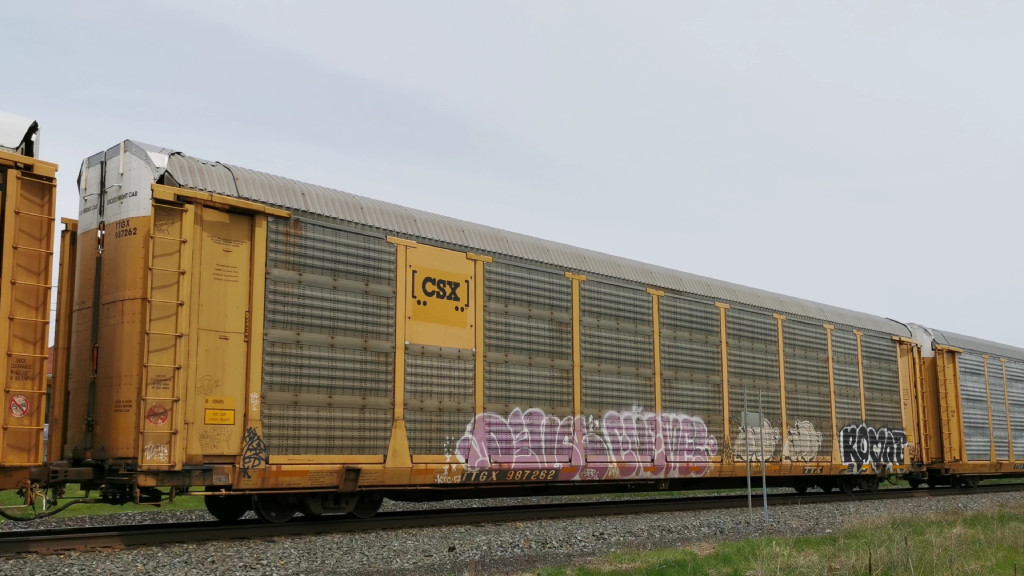 CSX B12685 (Body) TTGX 987262 (Flat)